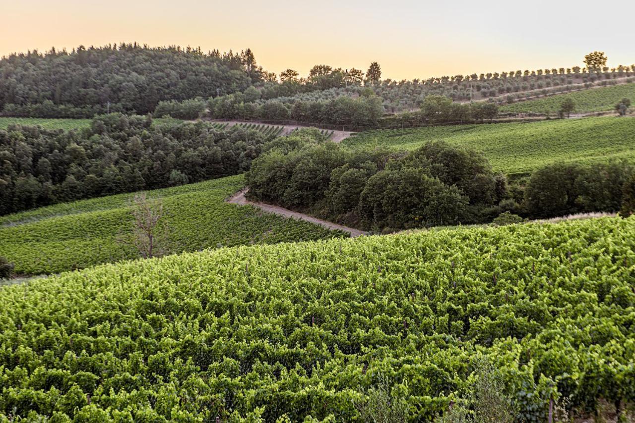 فيلا Agriturismo Casa Al Bosco كاستيلّينا إنْ كْيانت المظهر الخارجي الصورة