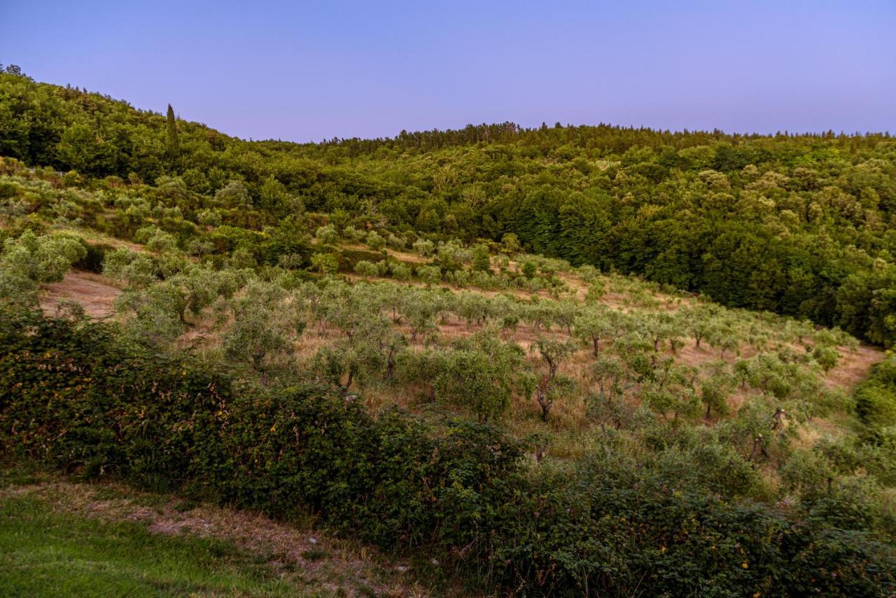 فيلا Agriturismo Casa Al Bosco كاستيلّينا إنْ كْيانت المظهر الخارجي الصورة